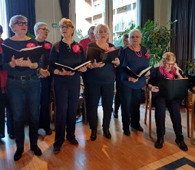 20260303_153628 null